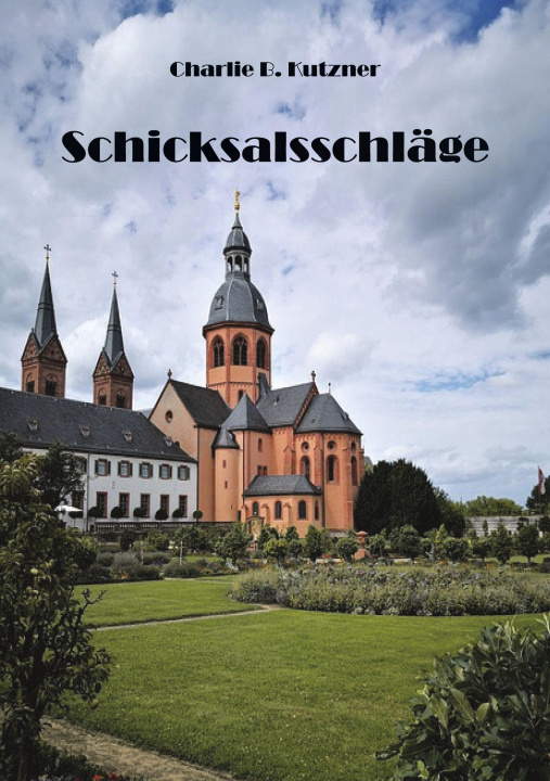 Kniha Schicksalsschläge 