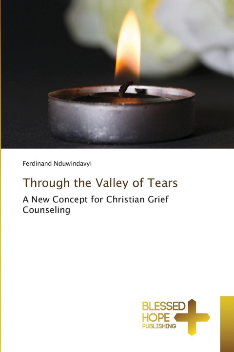 Knjiga Through the Valley of Tears Ferdinand Nduwindavyi