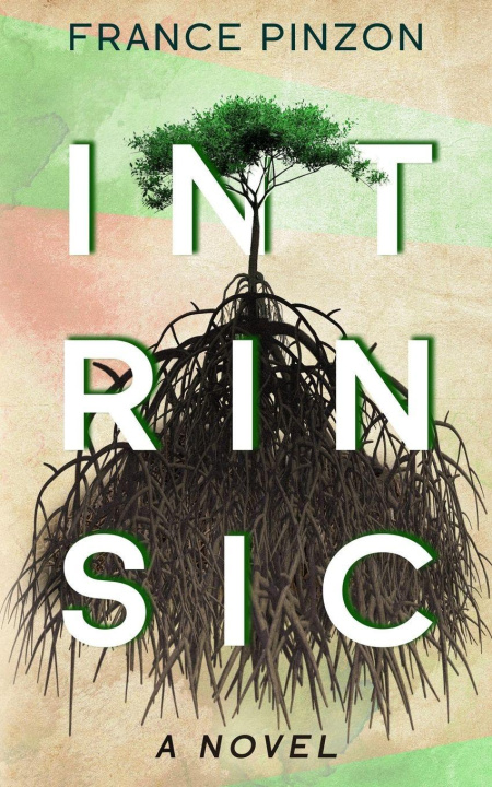 Knjiga Intrinsic France Pinzon