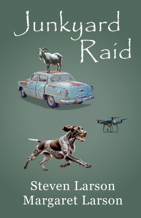 Carte Junkyard Raid Margaret Larson