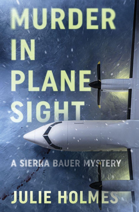 Kniha Murder in Plane Sight Julie Holmes
