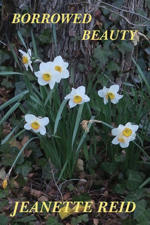 Buch Borrowed Beauty Jeanette Fisher Reid