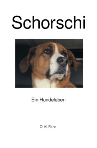 Kniha Schorschi Oliver Fahn