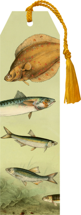 Artykuły papiernicze Knižní záložka Nordic Fishes 