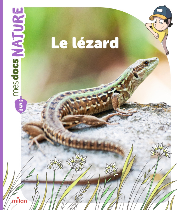 Libro Le lézard Stéphanie Ledu