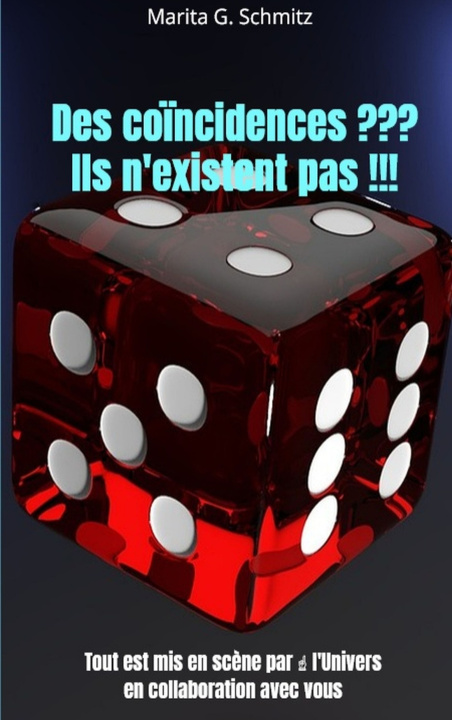 Kniha Des coïncidences ??? Ils n'existent pas !!! Marita G. Schmitz