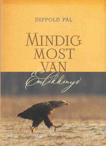 Kniha Mindig most van Dippold Pál