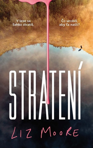 Kniha Stratení Liz Moore