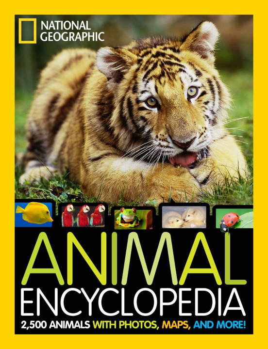 Kniha Animal Encyclopedia Lucy Spelman