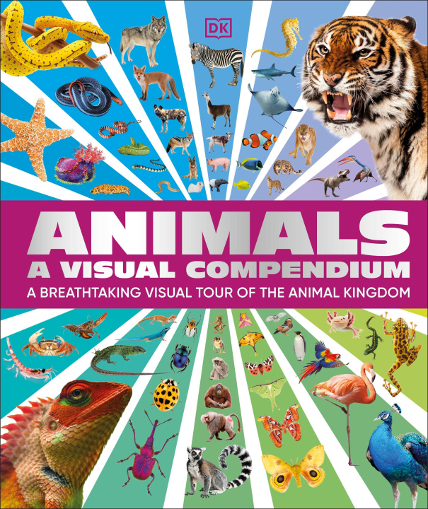 Kniha Animals A Visual Compendium DK