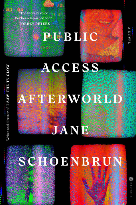 Kniha Public Access Afterworld SCHOENBRUN