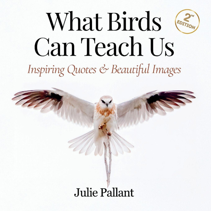 Βιβλίο What Birds Can Teach Us Julie Pallant