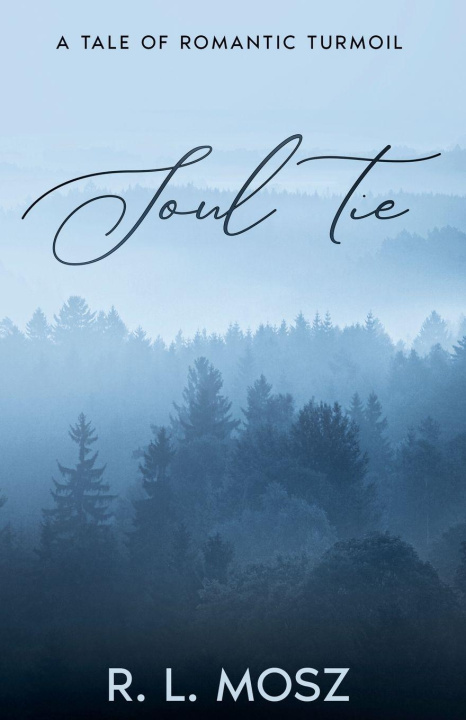 Buch Soul Tie R. L. Mosz