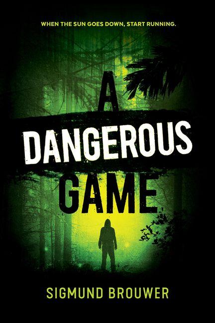 Buch A Dangerous Game 