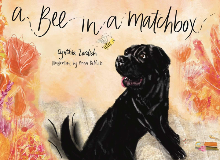 Kniha A Bee in a Matchbox Anna Demalo