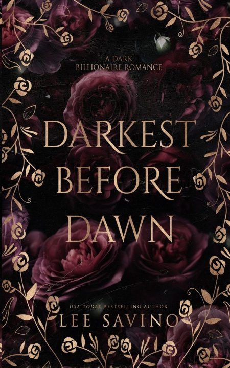 Knjiga Darkest Before Dawn Lee Savino