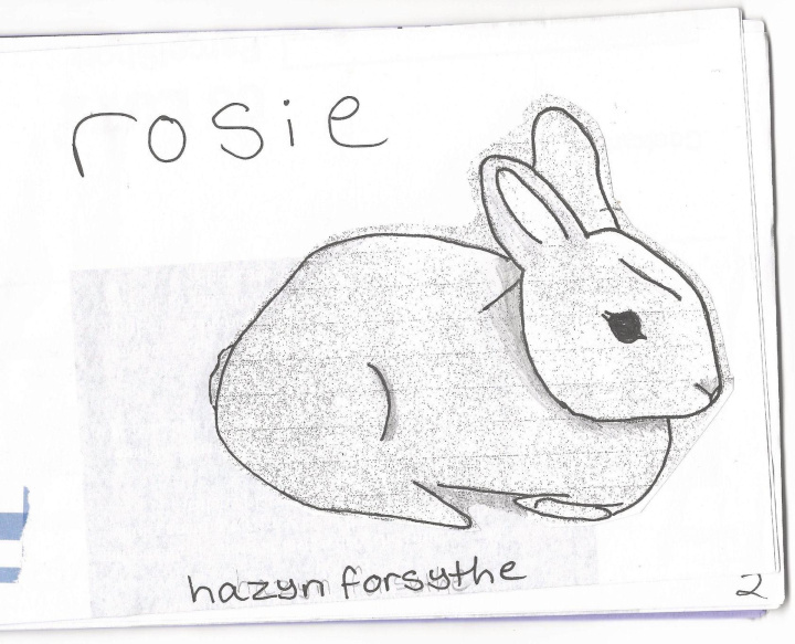 Knjiga rosie hazyn forsythe