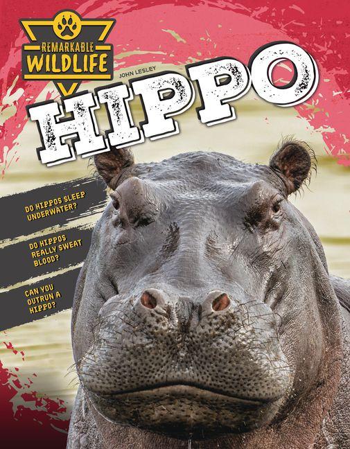Kniha Hippo 