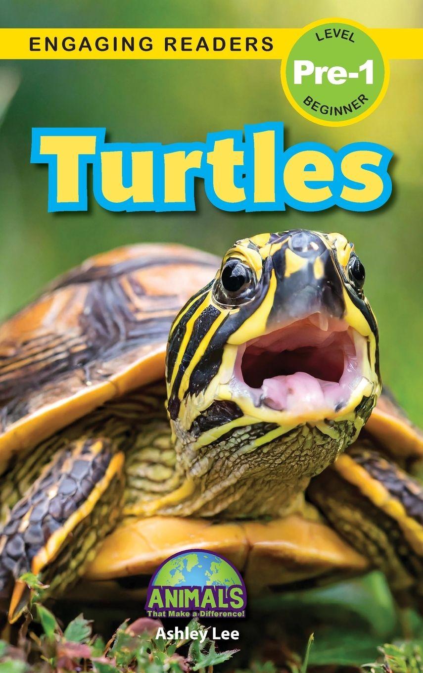 Kniha Turtles Ashley Lee