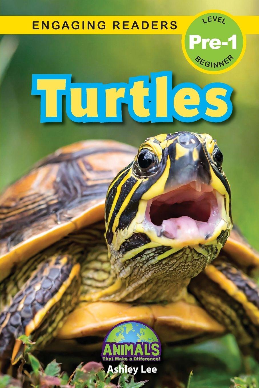 Könyv Turtles Ashley Lee