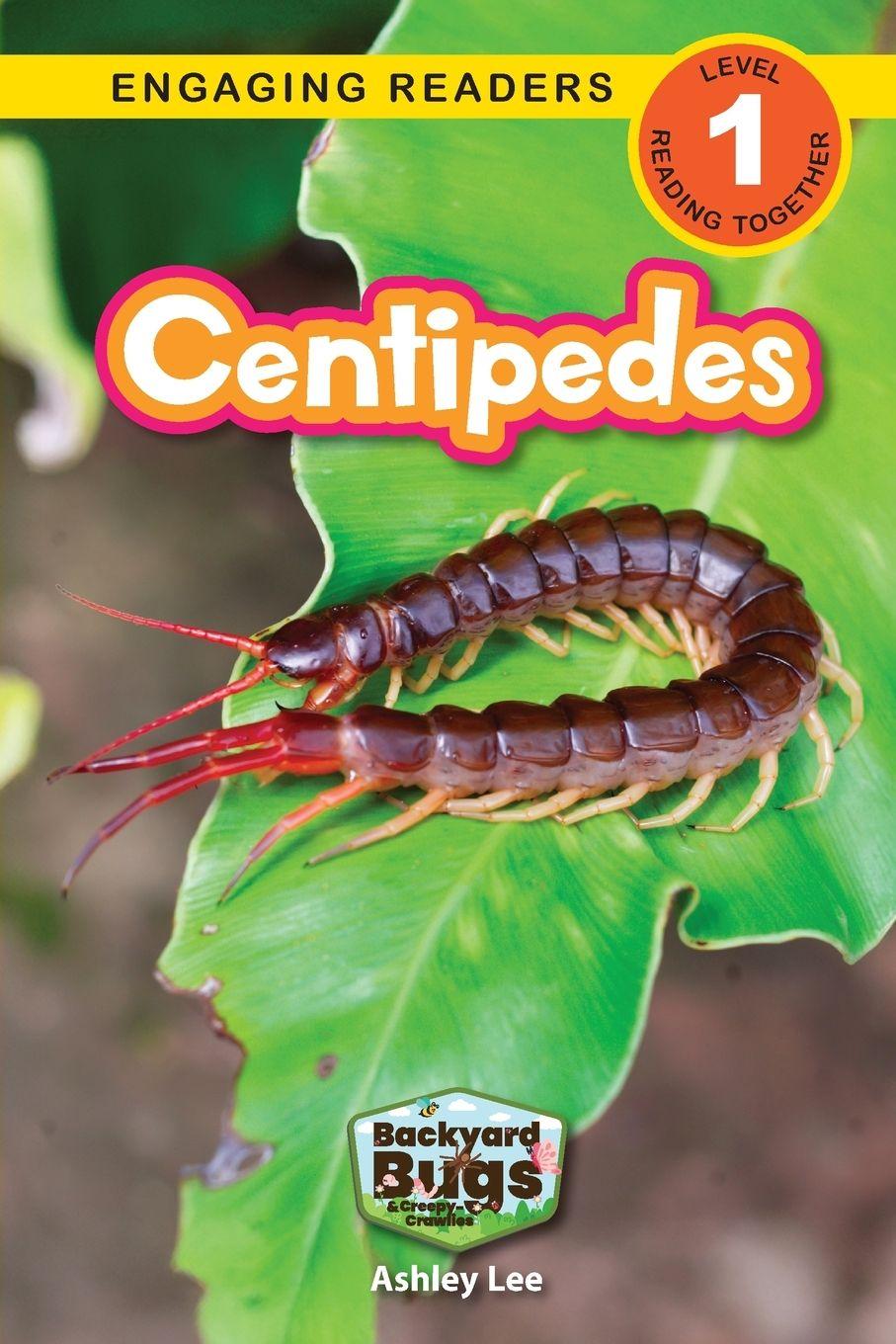 Kniha Centipedes Ashley Lee