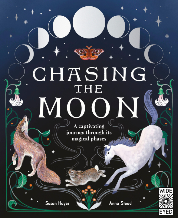 Kniha Chasing the Moon Anna Stead