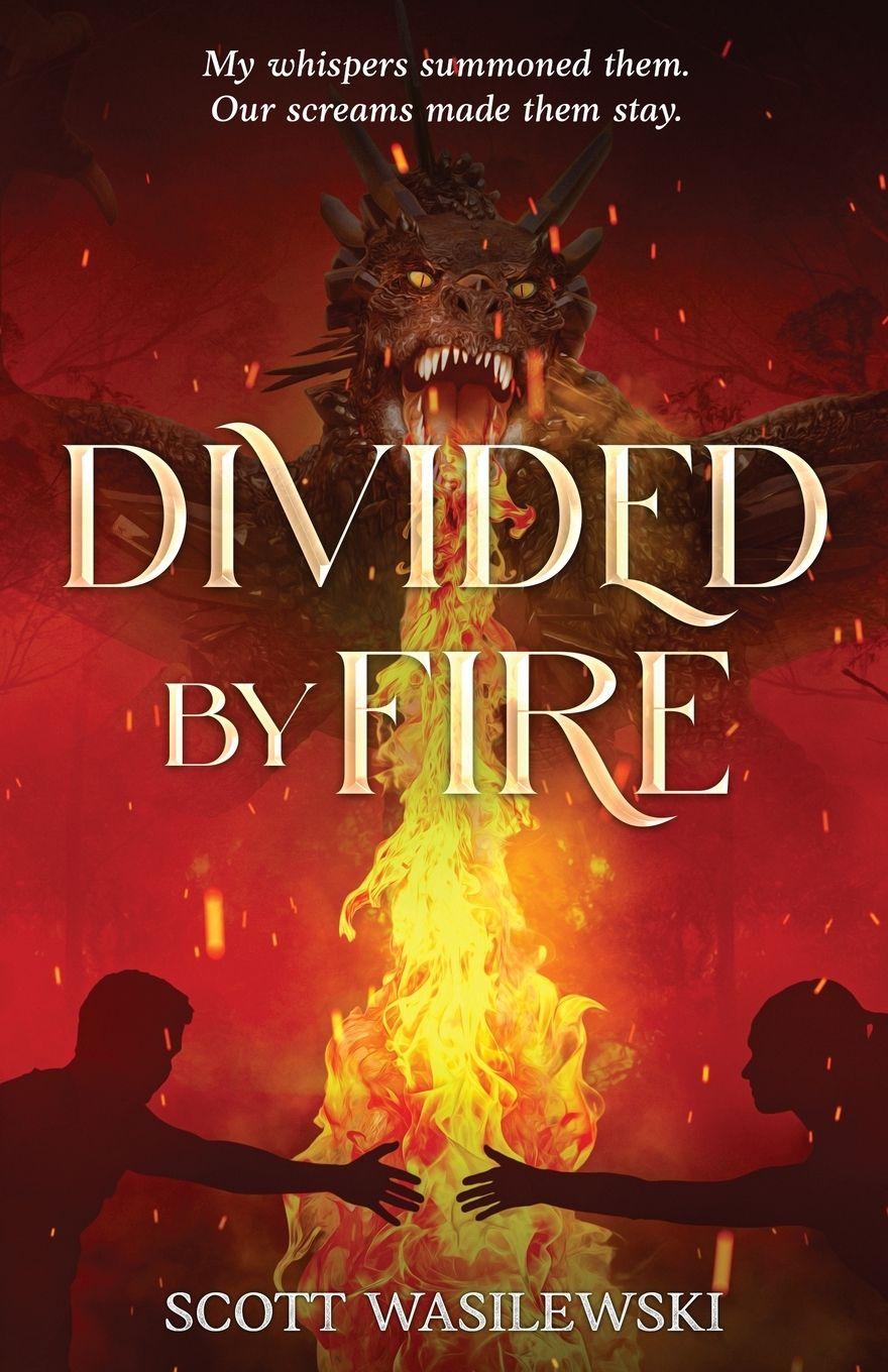 Kniha Divided by Fire Scott Wasilewski