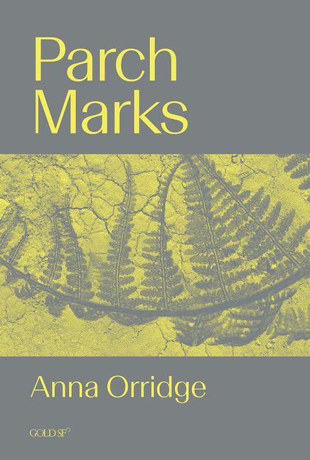 Kniha Parch Marks 