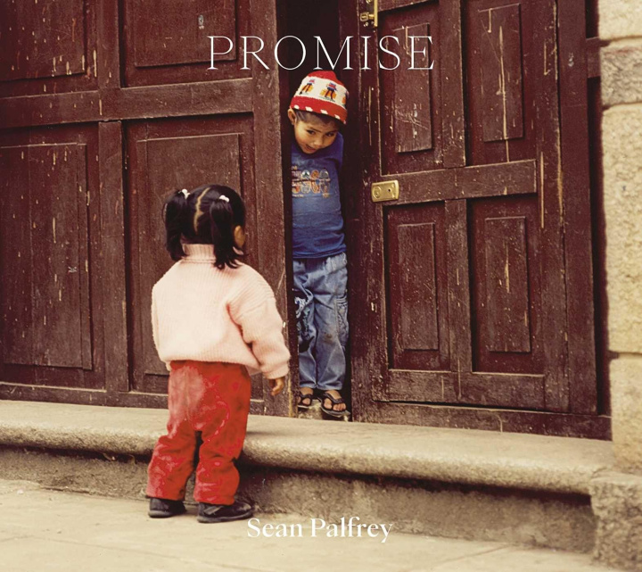 Kniha Promise PALFREY SEAN