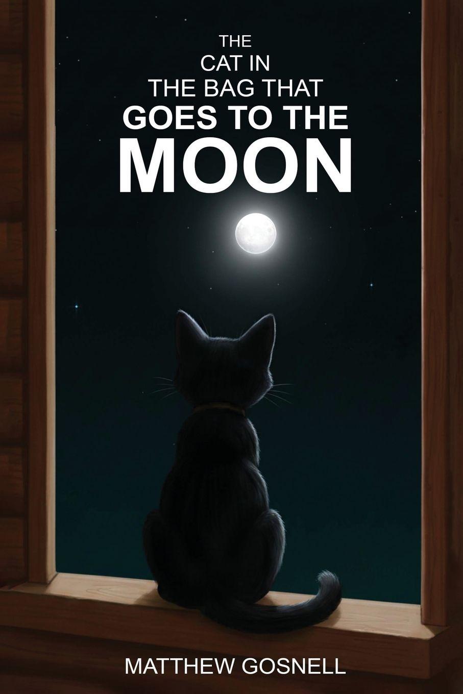Kniha The Cat in the Bag that Goes to the Moon Matthew Gosnell