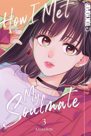 Kniha How I Met My Soulmate 03 Christine Steinle