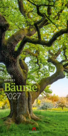 Kalendář/Diář Bäume Kalender 2027 Ackermann Kunstverlag GmbH