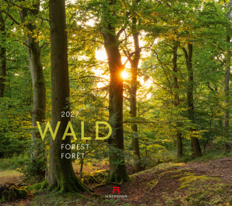 Kalendář/Diář Wald Kalender 2027 Ackermann Kunstverlag GmbH