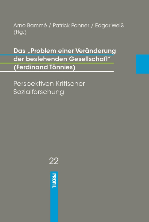 Kniha Das "Problem einer Veränderung der Gesellschaft" Patrick Pahner