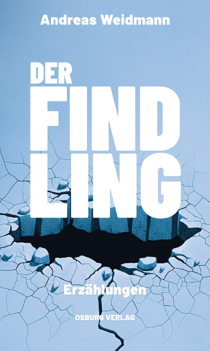 Kniha Der Findling Andreas Weidmann