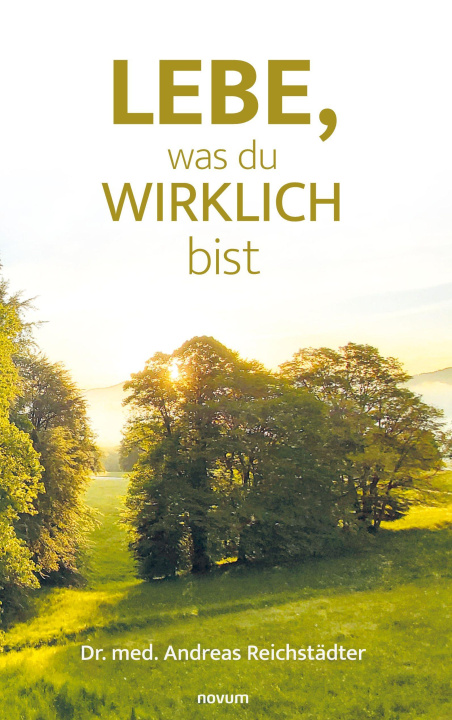 Kniha Lebe, was du wirklich bist Andreas Dr. med. Reichstädter