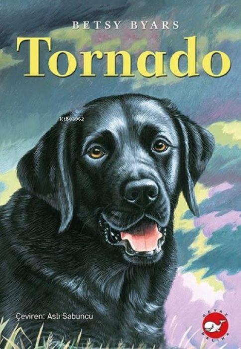 Kniha Tornado 
