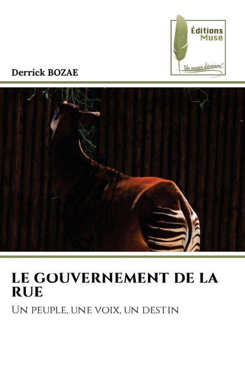 Boek LE GOUVERNEMENT DE LA RUE Derrick BOZAE