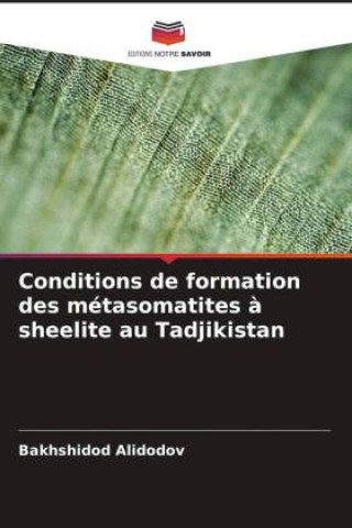 Kniha Conditions de formation des métasomatites à sheelite au Tadjikistan Bakhshidod Alidodov