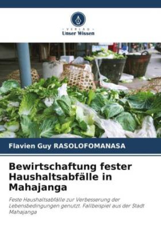 Kniha Bewirtschaftung fester Haushaltsabfälle in Mahajanga Flavien Guy RASOLOFOMANASA