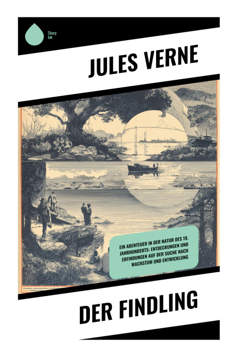 Kniha Der Findling Jules Verne