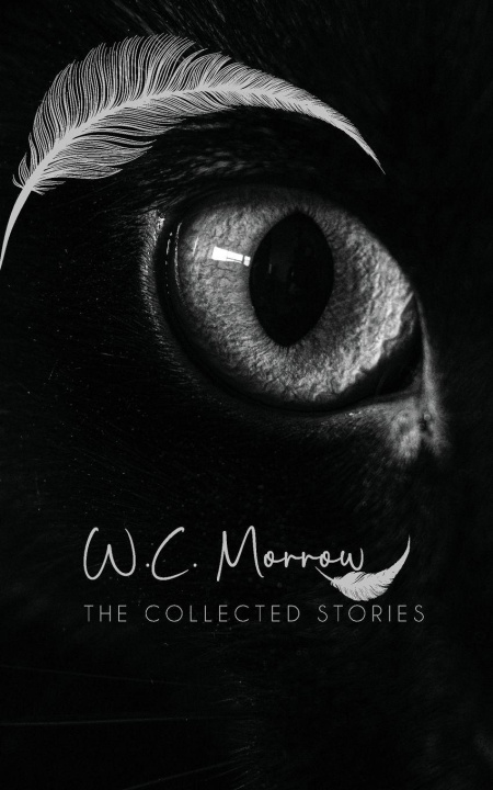 Kniha The Collected Stories W. C. Morrow