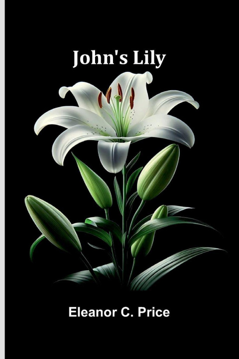 Kniha John's Lily Eleanor C. Price