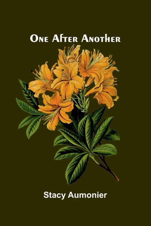 Kniha One After Another Stacy Aumonier