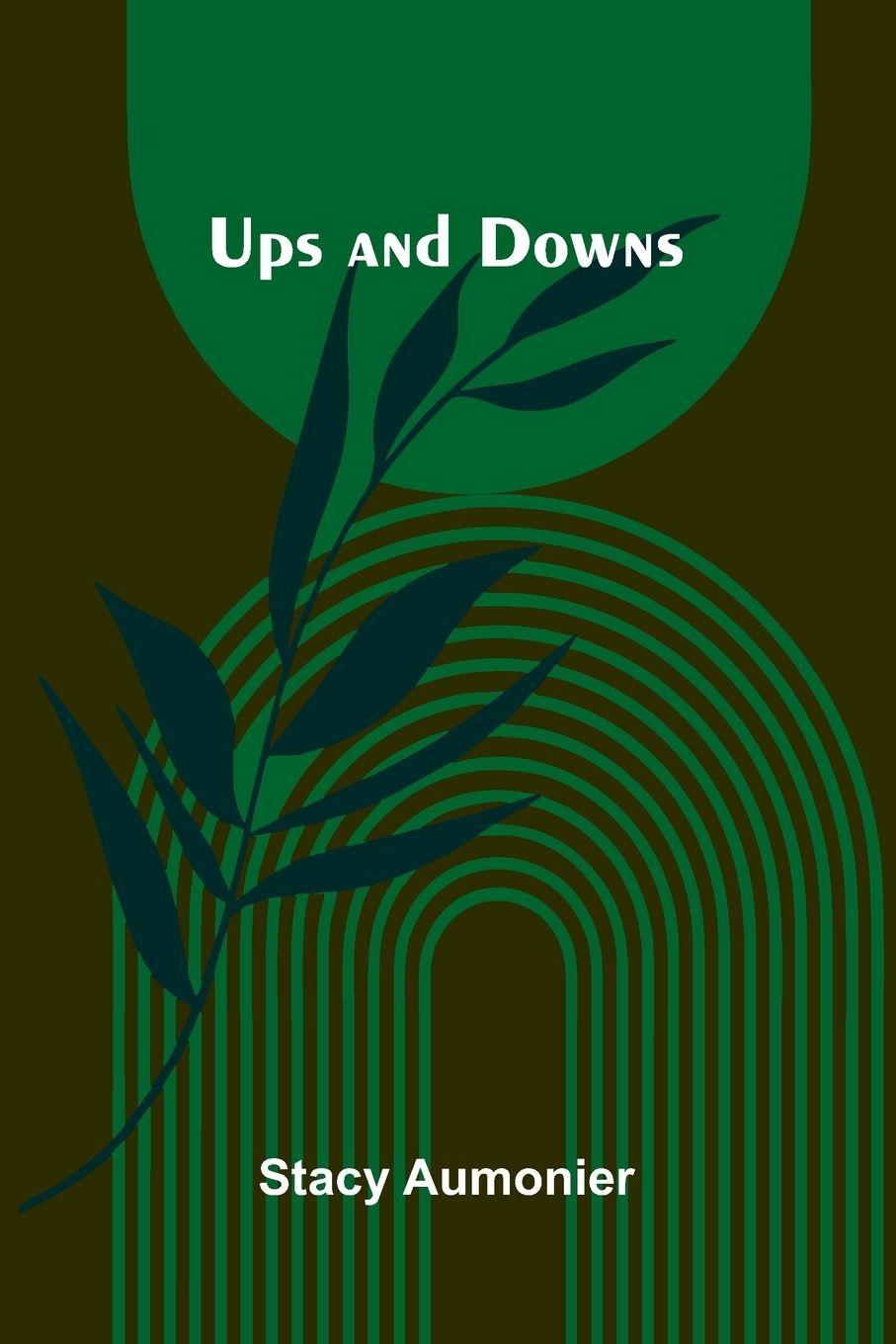 Kniha Ups And Downs Stacy Aumonier