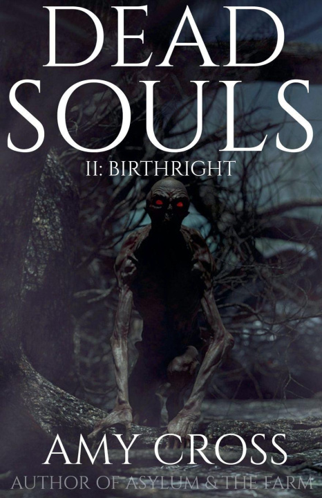 Knjiga Birthright Amy Cross