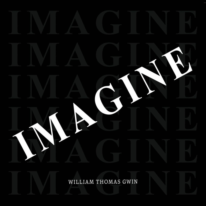 Kniha IMAGINE William Thomas Gwin
