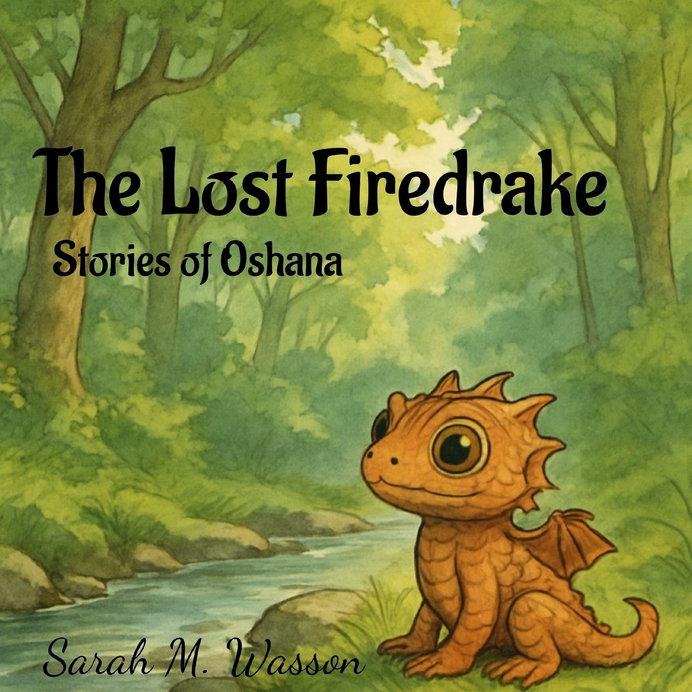 Könyv The Lost Firedrake Sarah Wasson