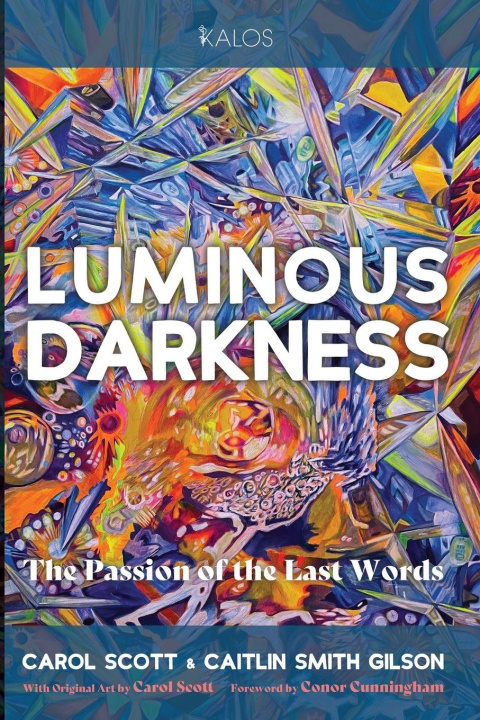 Kniha Luminous Darkness Caitlin Smith Gilson