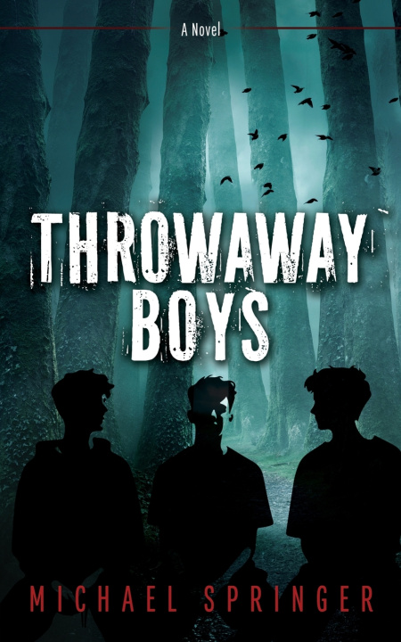 Kniha Throwaway Boys Michael Springer
